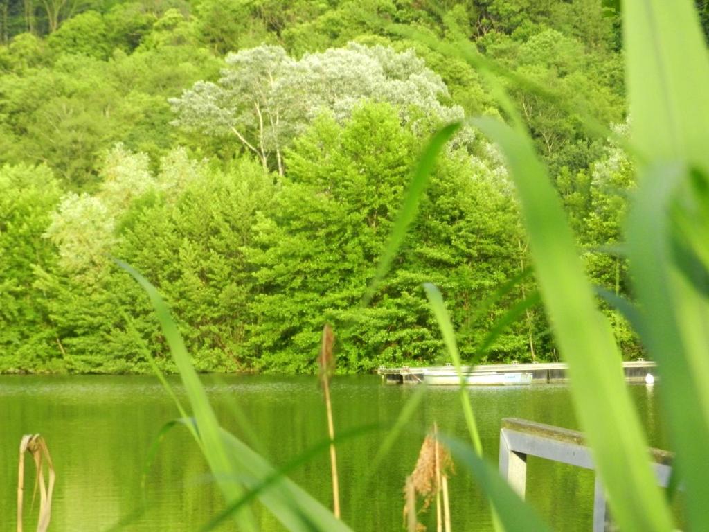 Gite Les Platanes Sainte-Helene-du-Lac Zewnętrze zdjęcie